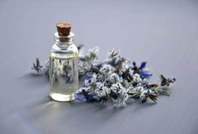 Perfume and flowers. Feature image for podcast episode "Does love have a scent?"