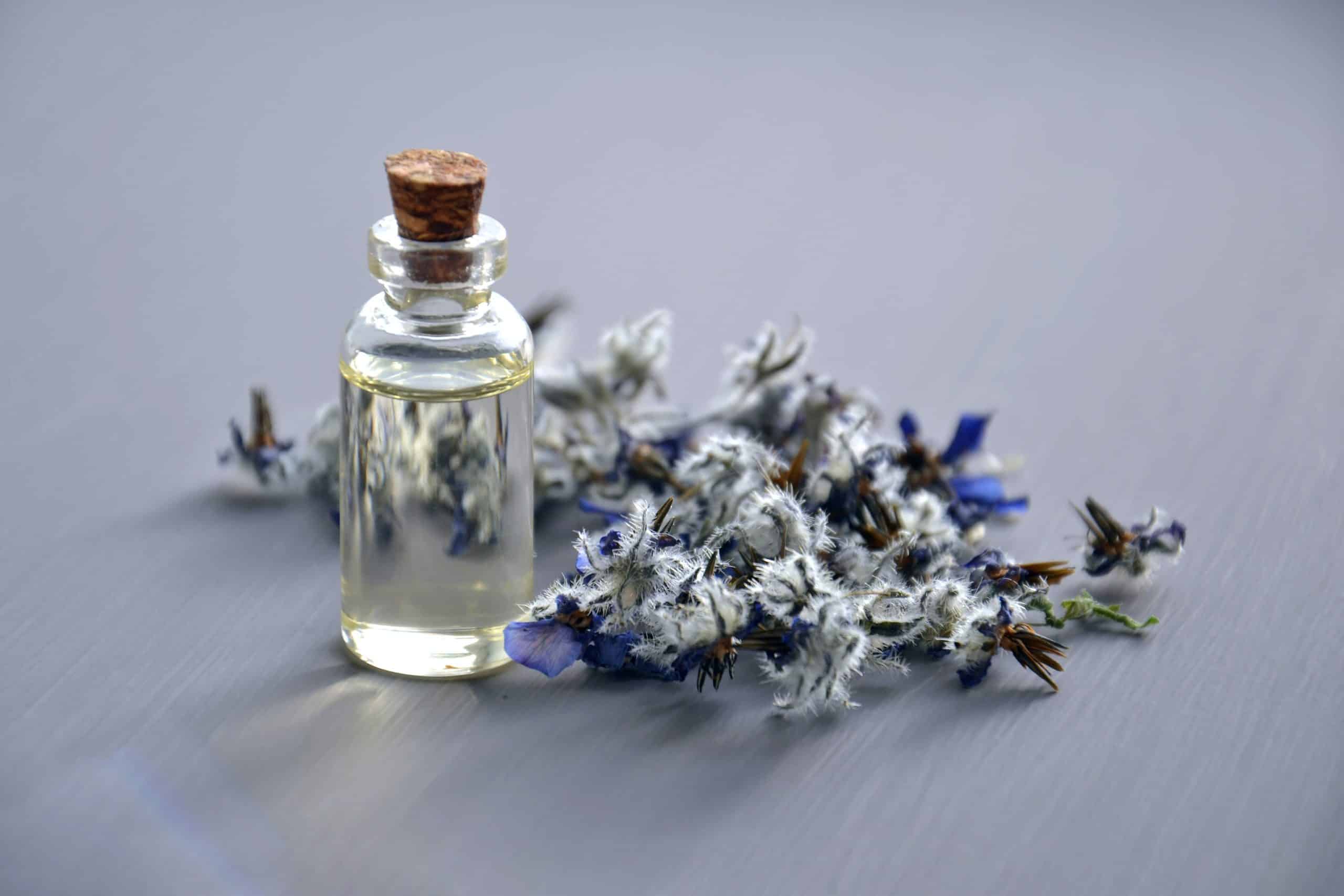 Perfume and flowers. Feature image for podcast episode "Does love have a scent?"