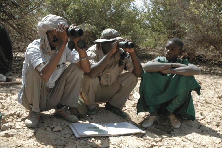 Photo of the field team looking through binoculars