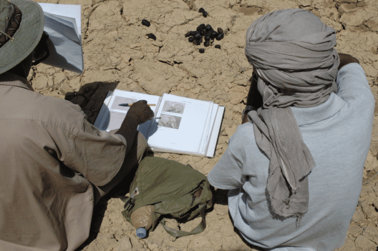 An image of field workers making notes