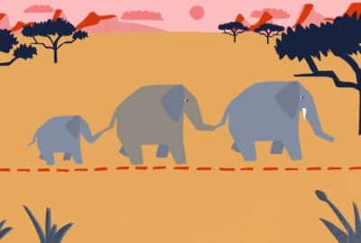 Animation scene of three elephants walking in line seen side on