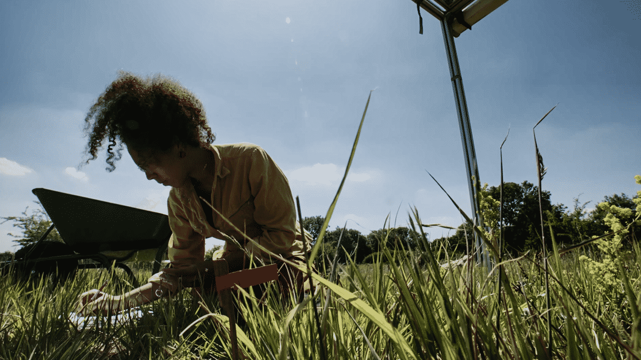 Sara doing sitting in the grasslands at Wytham. Featured image for the video "The RainDrop Experiment".