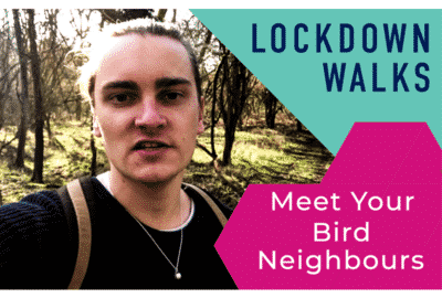 Meet Your Bird Neighbours