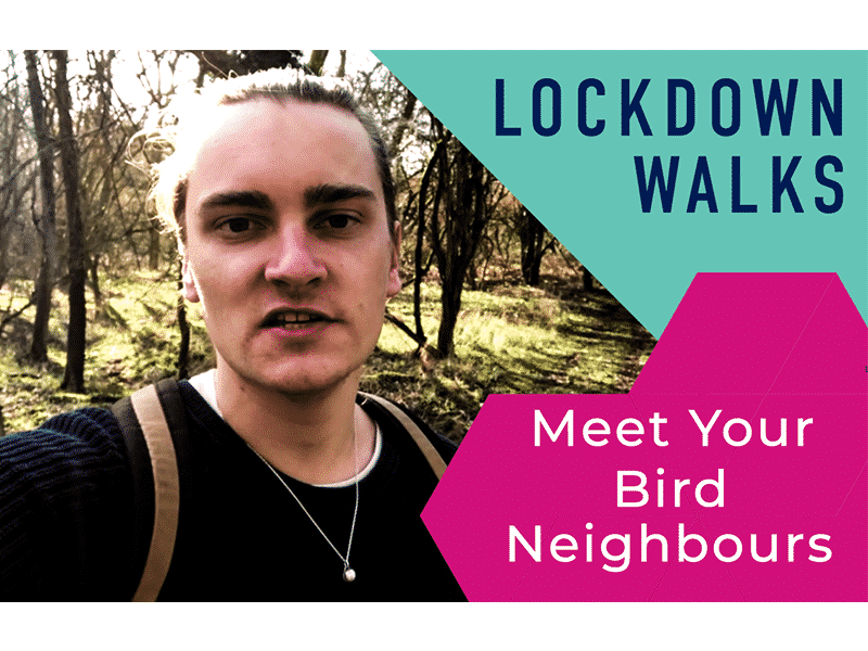 Meet Your Bird Neighbours