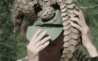 Pangolin Thumnail