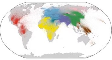 Human population movement shown on globe