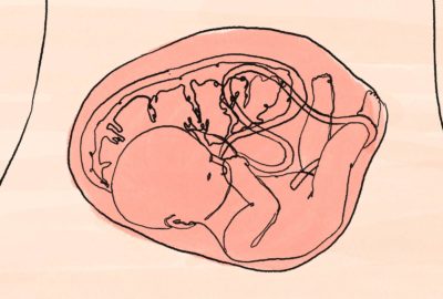 Drawing of a baby in the womb. Featured image for animation "How do unborn babies and mothers communicate via the placenta?"