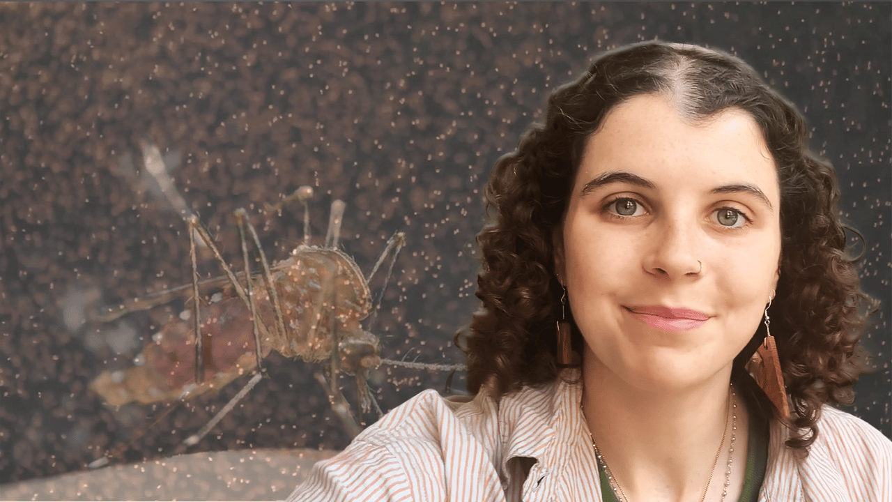 Maisie Vollans against a background image of mosquitoes.