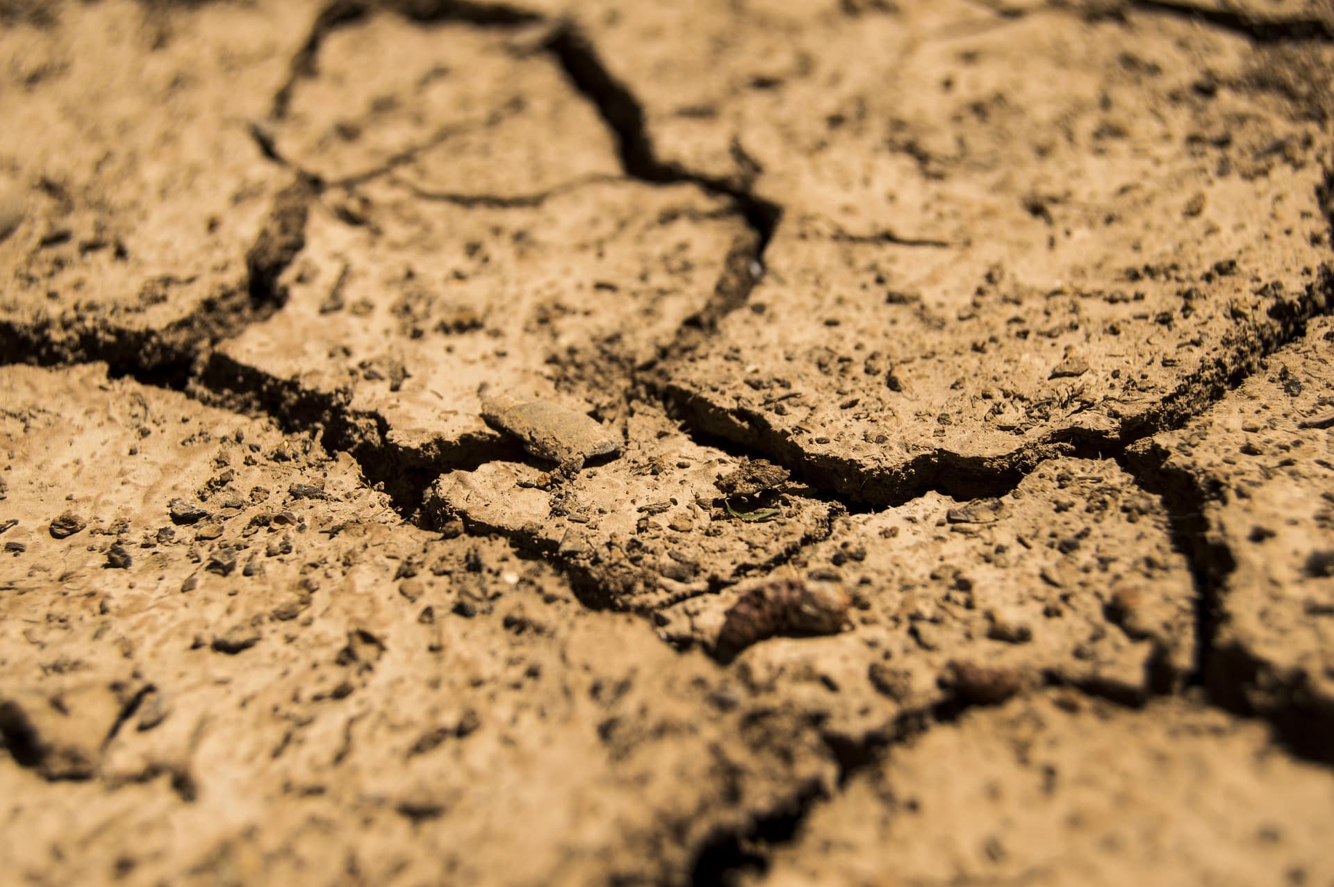 Dry and cracked earth.