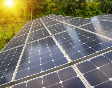 An array of solar photovoltaic panels. Image credit: Shutterstock. 