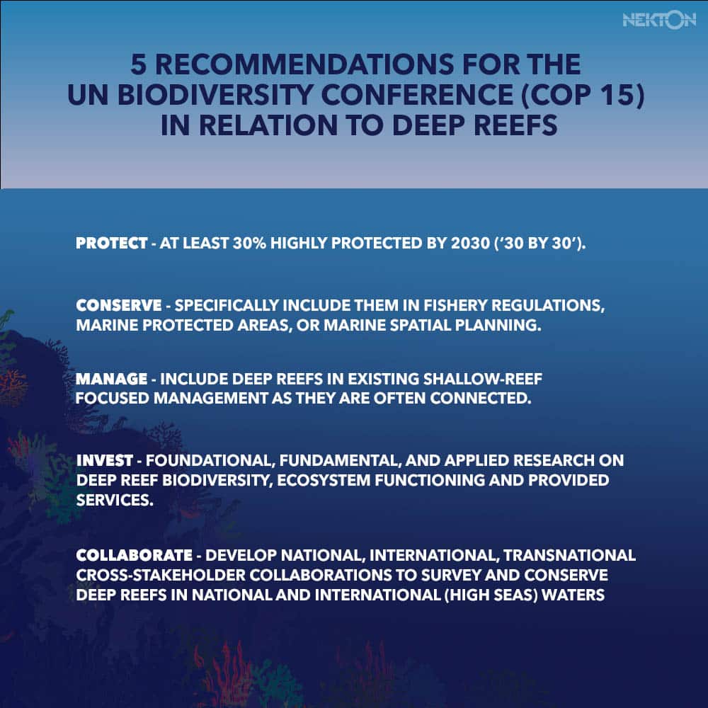 Recommendations for COP15 on deep reefs. Image credit: Nekton 2022.