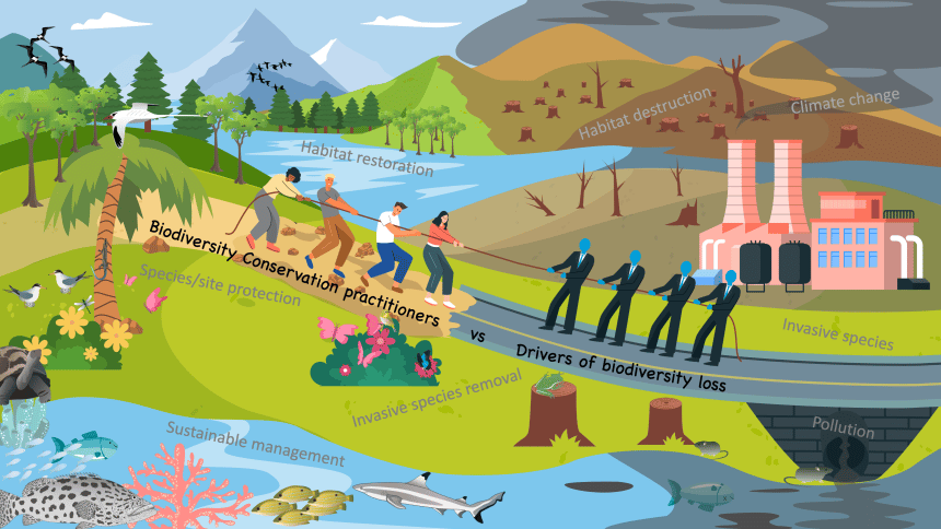  Cartoon depiction of the uphill struggle that island ecosystem management practitioners face in pulling back biodiversity in these critical ecosystems against the faceless drivers of biodiversity loss. Image credit: April Burt