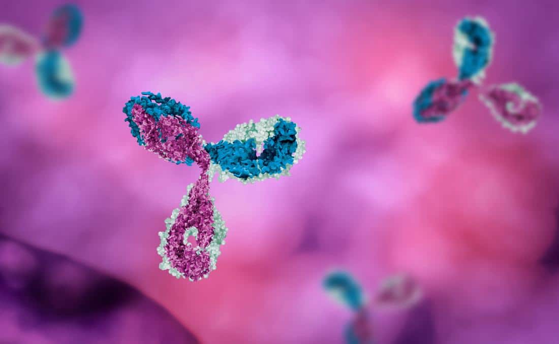 Antibody on a pink background