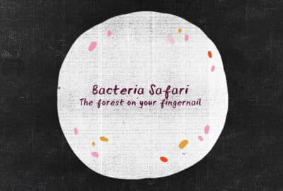 reads bacterial safari - the forest on your fingernail
