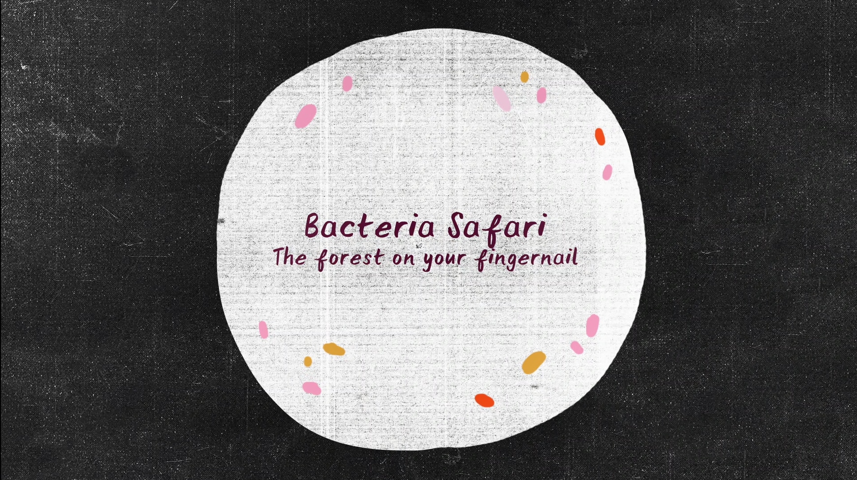 reads bacterial safari - the forest on your fingernail