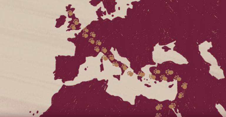 Animation scene showing cat prints on a map from Africa through Europe and onto Britain