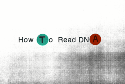 reads How to read DNA