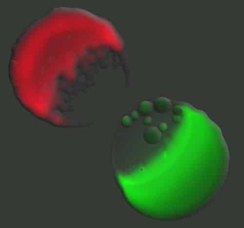 Bacteria at war. Two colonies of E. coli that each contain billions of cells using toxins to kill each other. 