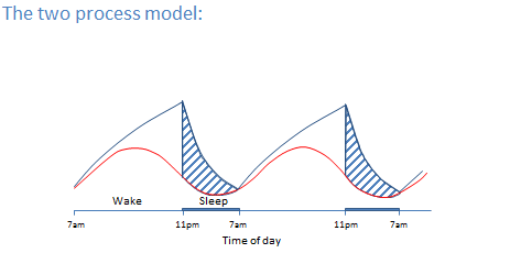 The process model of sleep: in this model when we sleep is driven by sleep homeostasis (the top line pictures in the picture above), or an increasing need for sleep, which grows the longer we have been awake. This is under-written by our circadian processes (the red line) that control alertness and tiredness throughout the day. It’s because of this system that we don’t gradually get more and more sleep as the day goes on, but rather experience peaks and troughs in our tiredness. The shaded areas show average sleep time a healthy adult.