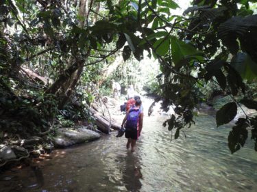 Photo of Lauren Rudd wading through a river in the jungle.