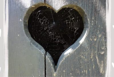 A spider web in a heart-shaped hole in some wood. Featured image for the podcast episode 'How could spider sex unlock secrets to engineering?'