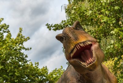 Tyrannosaurus rex; featured image for podcast episode "Could 'Jurassic Park' actually happen?"