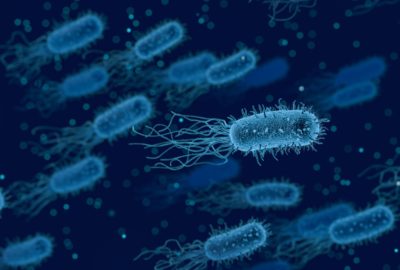 Computer generated image of bacteria; website image for the podcast episode 'How can we use sound waves to eliminate infections?'
