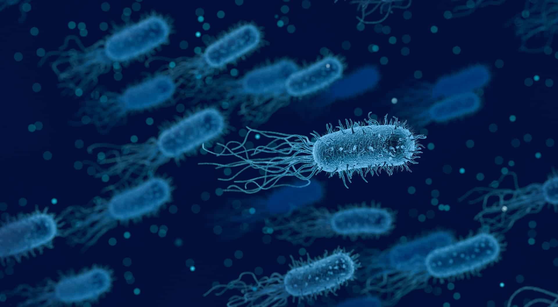 Computer generated image of bacteria; website image for the podcast episode 'How can we use sound waves to eliminate infections?'