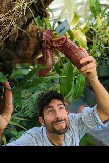 A man reaches up to grasp a cup-shaped plant hanging down from a suspended planter. 