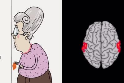 Cartoon of an old lady holding her knitting, alongside a cartoon of an MRI image with some areas of the brain lit up. Still from the animation 'A Spin Around the Brain'.