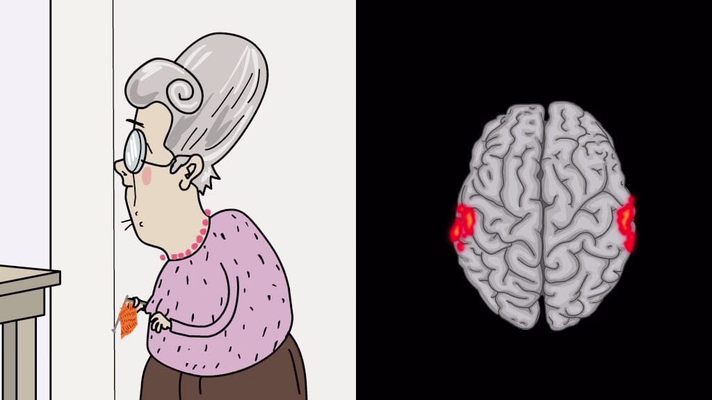 Cartoon of an old lady holding her knitting, alongside a cartoon of an MRI image with some areas of the brain lit up. Still from the animation 'A Spin Around the Brain'.