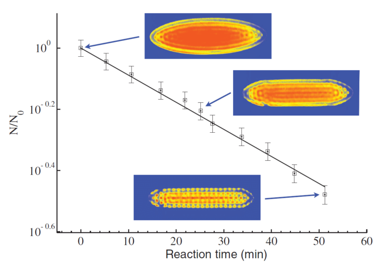 Fig. 2. The reaction between Coulomb-crystallised calcium ions and neutral reactant molecules (in this instance, CH3F) is shown as a function of time. Each of the dots in the experimental images represents the lattice position of a calcium ion. As the calcium ions react, two changes can be observed in the crystal images: the number of fluorescing ions decreases and the crystal appears flatter. This is due to the formation of CaF+ product ions, which sit outside the remaining Ca+ ions but cannot be seen by the camera as they are not laser cooled and thus do not fluoresce.