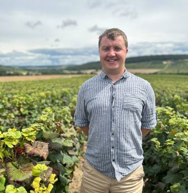 Andrew Wood stands in a large vineyard, with grape vines stretching away to the far distance. He wears a checked shirt and shorts, and has his hands clasped behind his back. There are a few clouds in the sky and rolling hills in the background. 