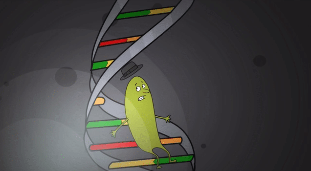Ossie sitting on DNA! Still image from the animation 'Another Case of Heart Trouble'.