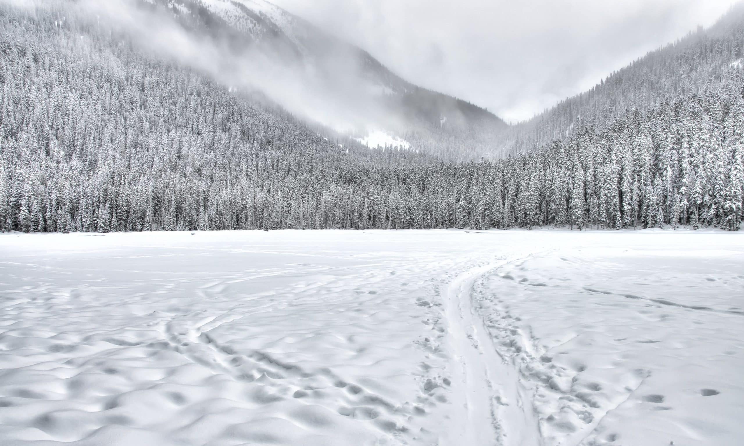 Snowy mountains