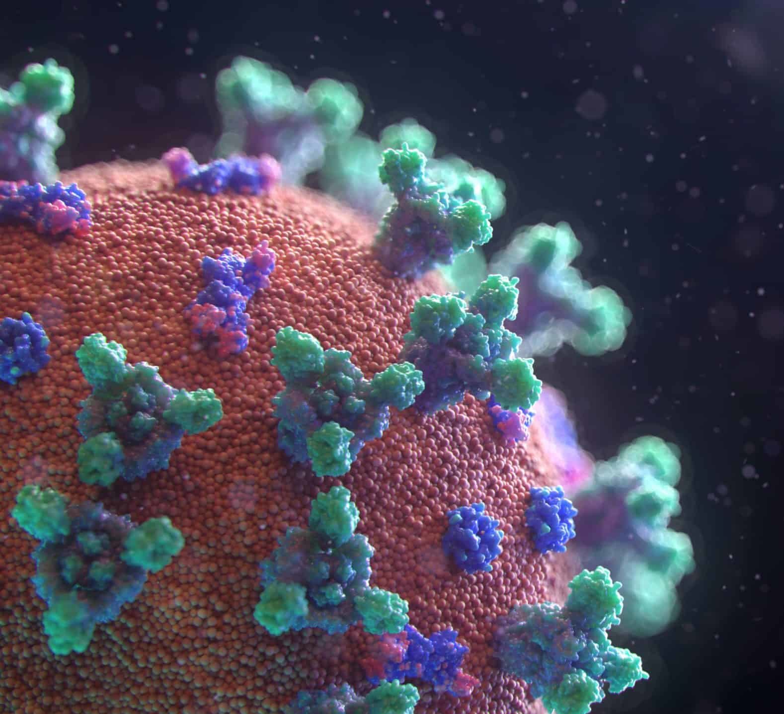 A virus model