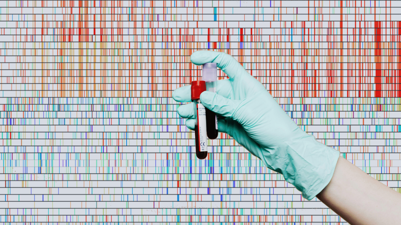 Visualisation of a genome sequence (vertical stripes of blue and red) overlaid by a gloved hand holding two tubes of blood.