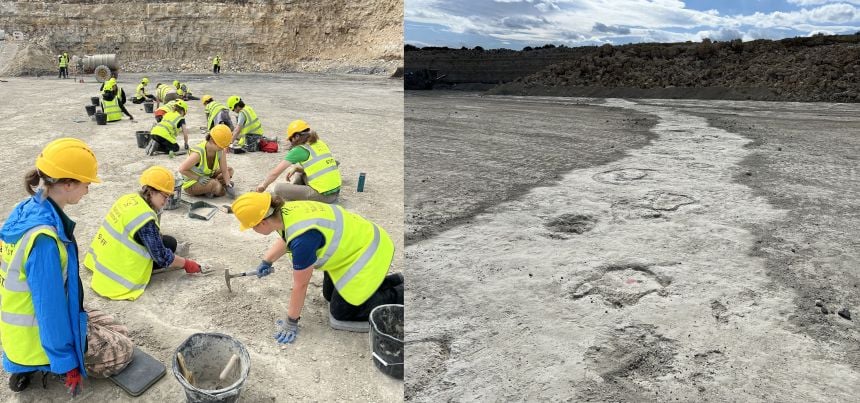 Left: People wearing fluorescent jackets kneel on the ground in a quarry, excavating dinosaur footprints using brushes. Right: A line of circular depressions in the ground that are actually footprints made by a sauropod dinosaur during the middle Jurassic