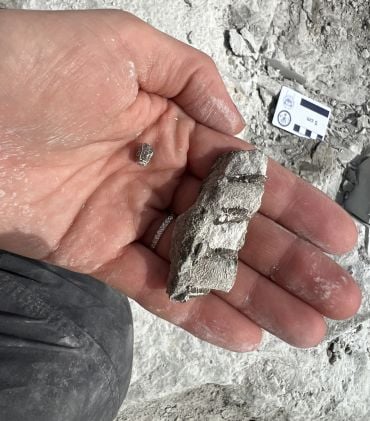Close up of a hand holding a fragment of a jawbone.