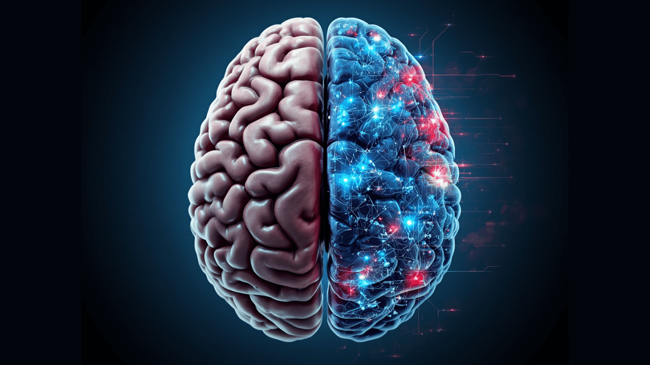 AI-generated (Canva, Magic Media) image of a brain, where one half is 'normal' and the other half is a futuristic-looking digital brain. Representation of the digital brain twin idea (though the digital brain twin would use data from the whole brain - not just half).